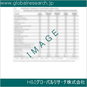 グローバルリサーチ調査資料のイメージ